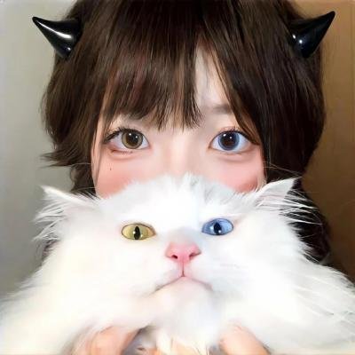 呆子2